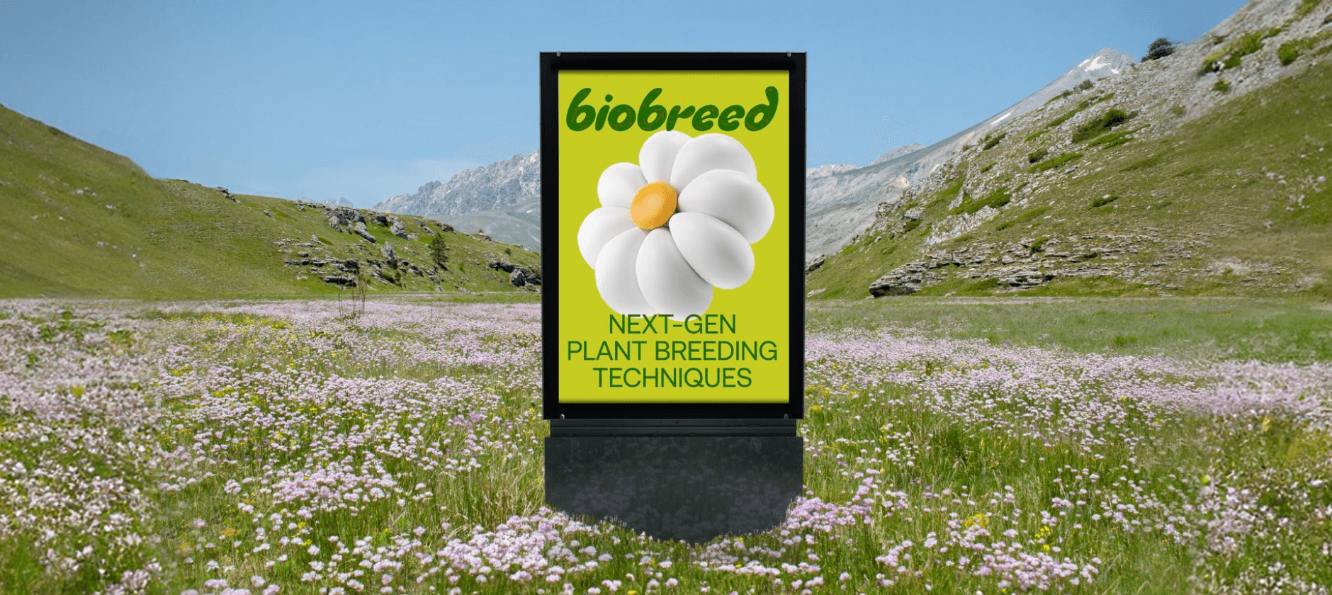 Imagem da primeira dobra